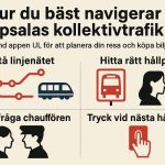 Hur du bäst navigerar Uppsalas kollektivtrafik