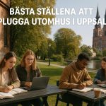 Bästa ställena att plugga utomhus i Uppsala